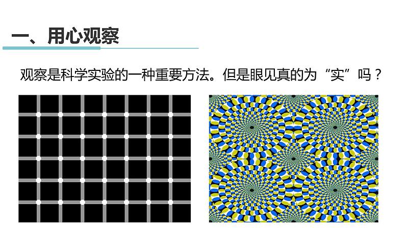 1.3 科学观察 课件---2023-2024学年浙教版科学七年级上册05