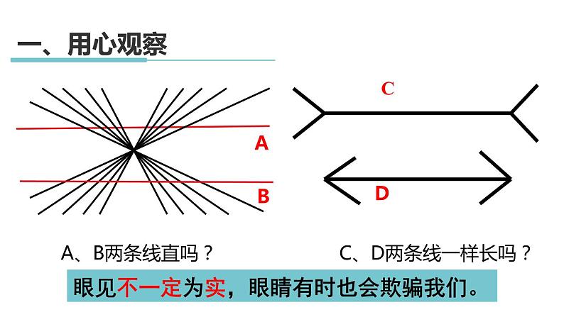 1.3 科学观察 课件---2023-2024学年浙教版科学七年级上册06