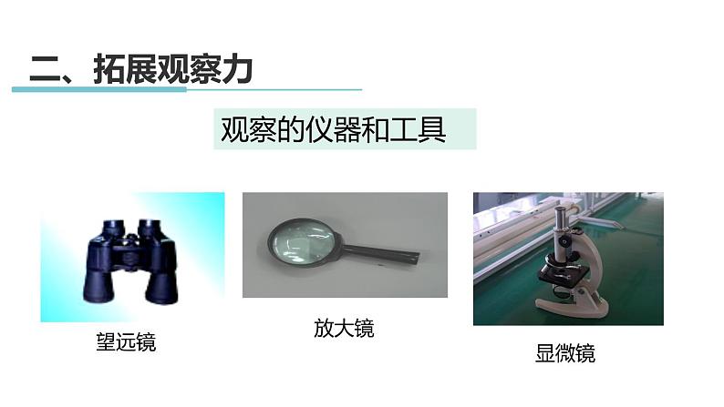 1.3 科学观察 课件---2023-2024学年浙教版科学七年级上册08