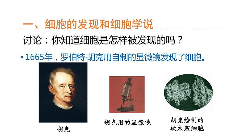 2.2细胞 第1课时 细胞学说及细胞结构 课件---2023-2024学年浙教版科学七年级上册03