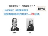 2.2细胞 第1课时 细胞学说及细胞结构 课件---2023-2024学年浙教版科学七年级上册