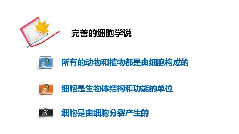 2.2细胞 第1课时 细胞学说及细胞结构 课件---2023-2024学年浙教版科学七年级上册06