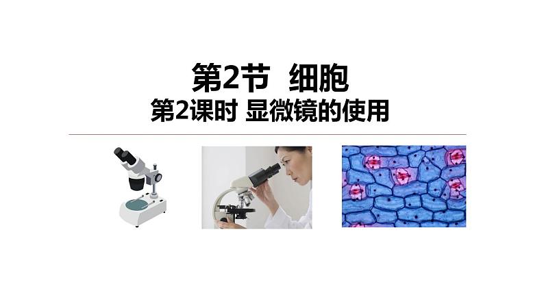 2.2细胞 第2课时 显微镜的使用 课件---2023-2024学年浙教版科学七年级上册01