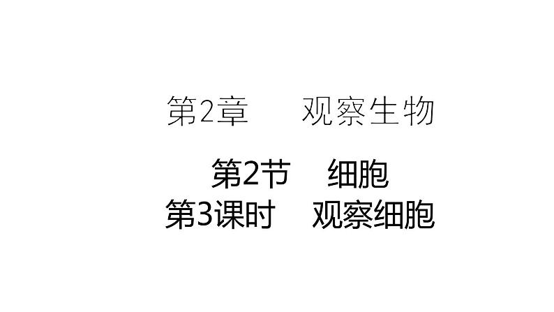 2.2细胞 第3课时 观察细胞 课件---2023-2024学年浙教版科学七年级上册第1页