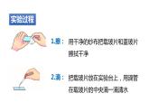 2.2细胞 第3课时 观察细胞 课件---2023-2024学年浙教版科学七年级上册