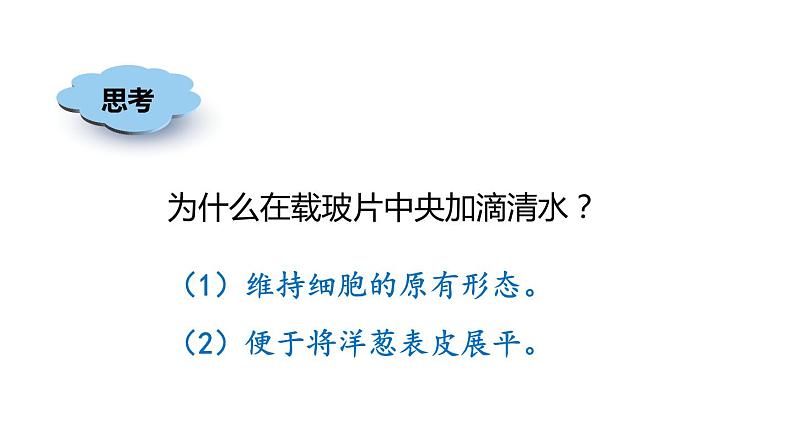 2.2细胞 第3课时 观察细胞 课件---2023-2024学年浙教版科学七年级上册第5页