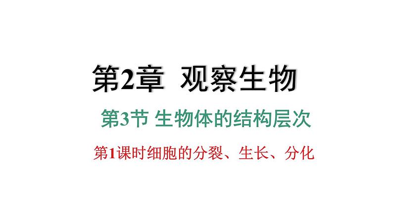 2.3生物体的结构层次 第1课时 细胞的分裂、生长、分化 课件---2023-2024学年浙教版科学七年级上册01