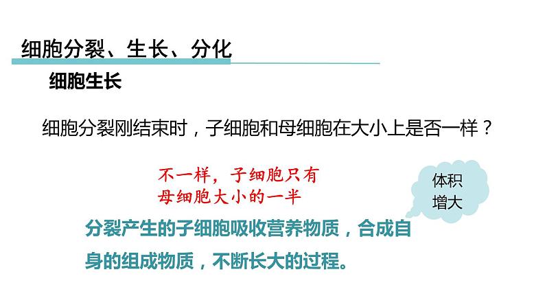 2.3生物体的结构层次 第1课时 细胞的分裂、生长、分化 课件---2023-2024学年浙教版科学七年级上册07