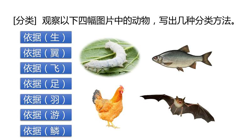 2.4 常见的动物 第1课时 动物分类 课件---2023-2024学年浙教版科学七年级上册第7页