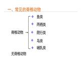 2.4 常见的动物 第2课时 脊椎动物 课件---2023-2024学年浙教版科学七年级上册