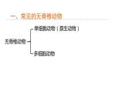 2.4 常见的动物 第3课时 无脊椎动物 课件---2023-2024学年浙教版科学七年级上册