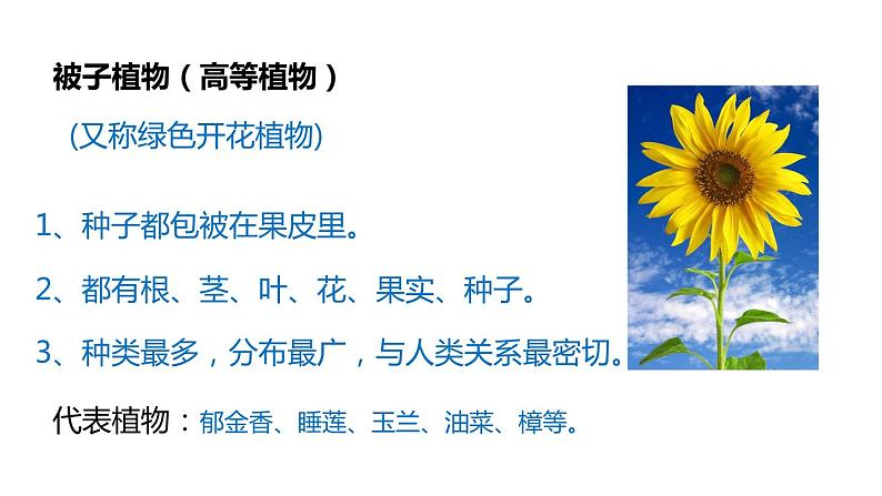 2.5 常见的植物 课件---2023-2024学年浙教版科学七年级上册06