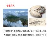 3.4 地壳变动和火山地震 第1课时  地壳变动的证明 火山 课件---2023-2024学年浙教版科学七年级上册