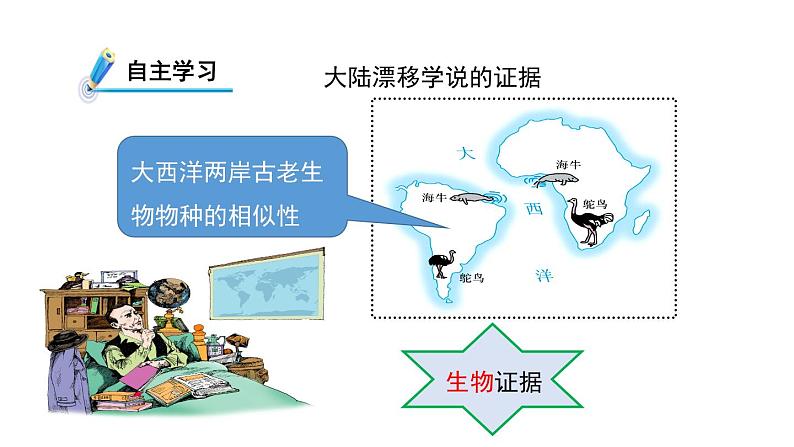 3.6 地球表面的板块 课件---2023-2024学年浙教版科学七年级上册08