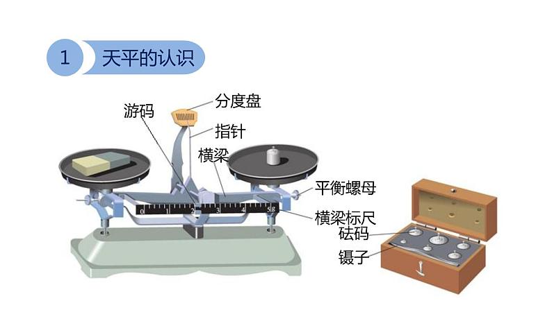 4.2 质量的测量 课件---2023-2024学年浙教版科学七年级上册08