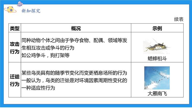 八上科学浙教 第3章  第4节 动物的行为 PPT课件06