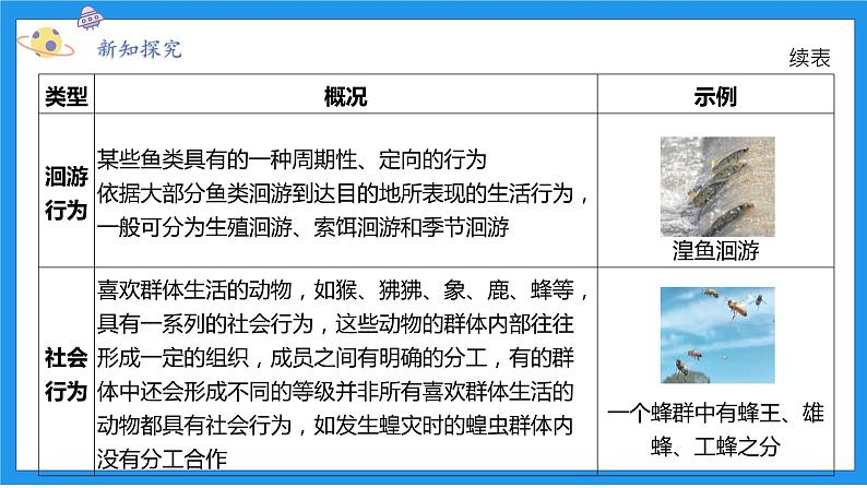 八上科学浙教 第3章  第4节 动物的行为 PPT课件07