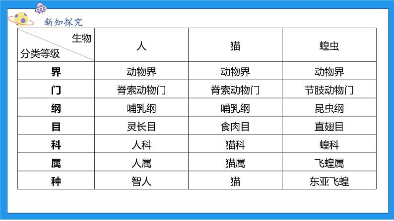 七上科学浙教 第2章 第4节 常见的动物 PPT课件第8页