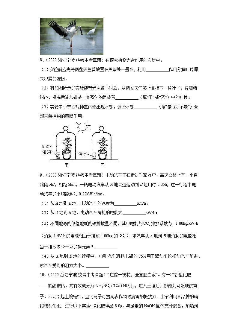 中考科学浙江省宁波市三年（2021-2023）真题分类汇编-简答题第3页