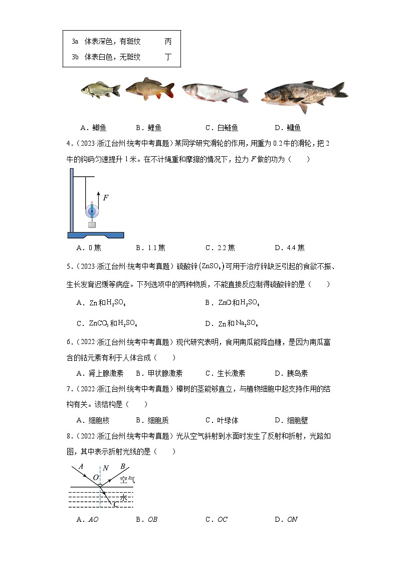 中考科学浙江省台州市三年（2021-2023）真题分类汇编-选择题③第2页