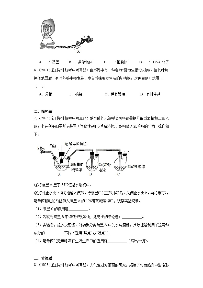 浙江省杭州市中考科学三年（2021-2023）知识点分类汇编-01生命的延续和进化02