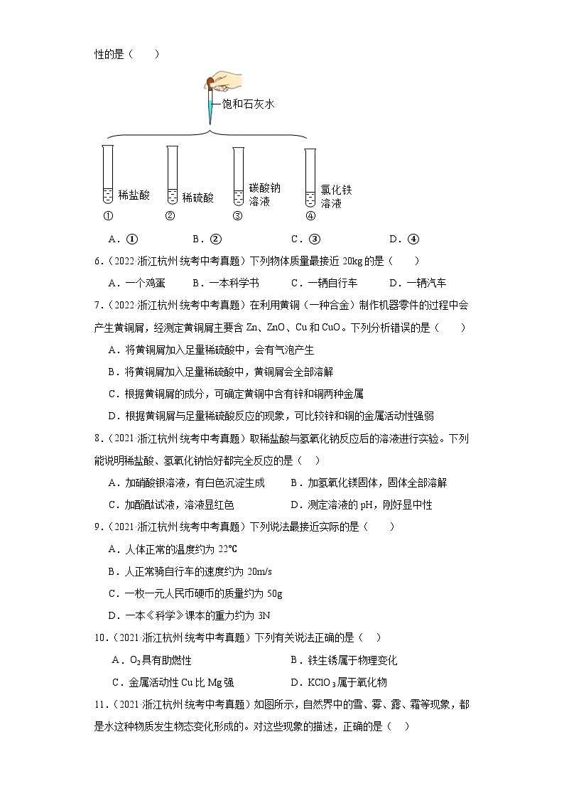 浙江省杭州市中考科学三年（2021-2023）知识点分类汇编-03常见的物质（基础题）02