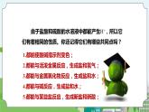 新华师大版化学九年级上册2.2 重要的酸 （第三课时）课件+教案+同步练习