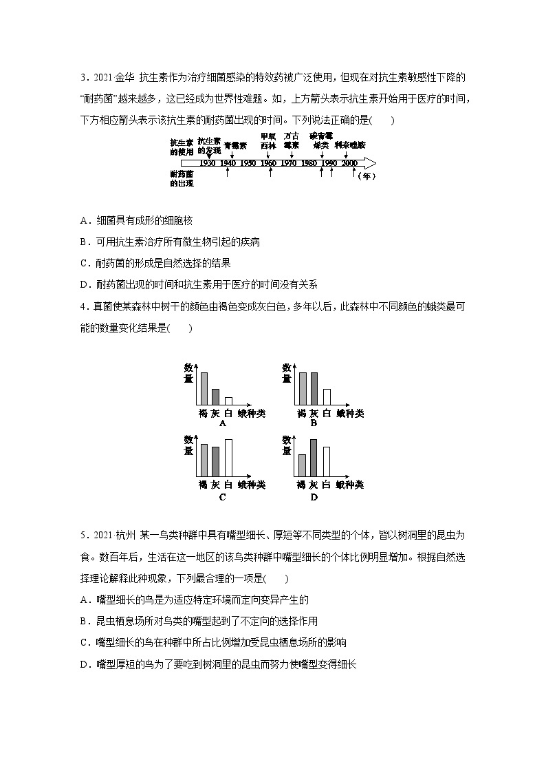 浙教版科学九年级下册同步练习：1.4   生物的进化   第2课时（含解析）02