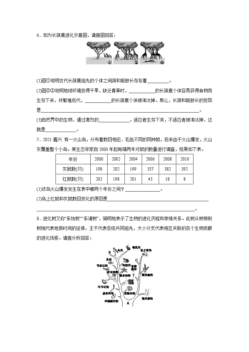 浙教版科学九年级下册同步练习：1.4   生物的进化   第2课时（含解析）03