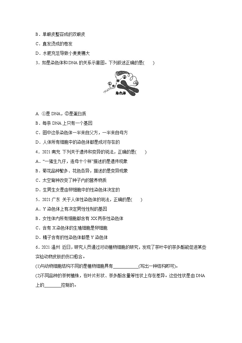 浙教版科学九年级下册同步练习：1.5   遗传与进化   第1课时（含解析）02