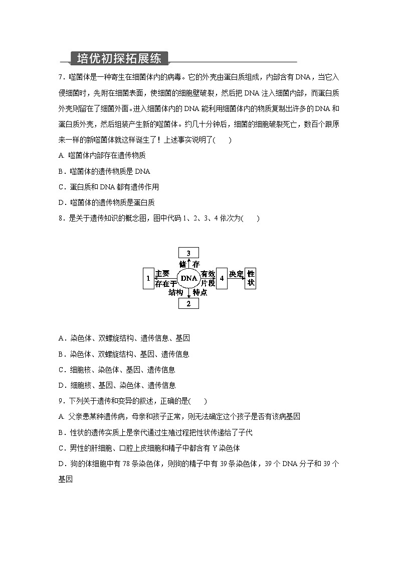 浙教版科学九年级下册同步练习：1.5   遗传与进化   第1课时（含解析）03