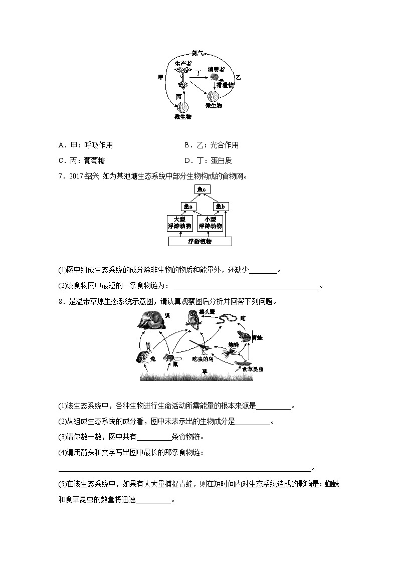 浙教版科学九年级下册同步练习：2.4   生态系统的结构和功能  第2课时（含答案）03