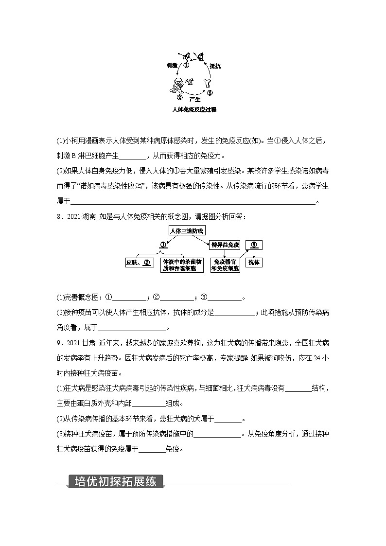 浙教版科学九年级下册同步练习：3.3   身体的防卫   第1课时（含解析）03