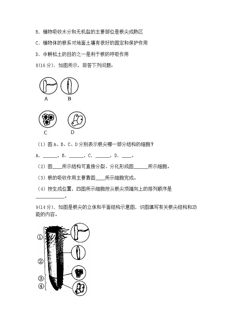 浙教版科学八年级下册：4.3植物的根与物质吸收 同步练习（2课时，含答案）03