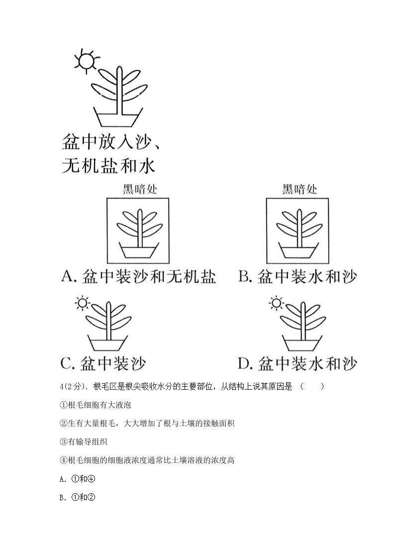 浙教版科学八年级下册：4.3植物的根与物质吸收 同步练习（2课时，含答案）02
