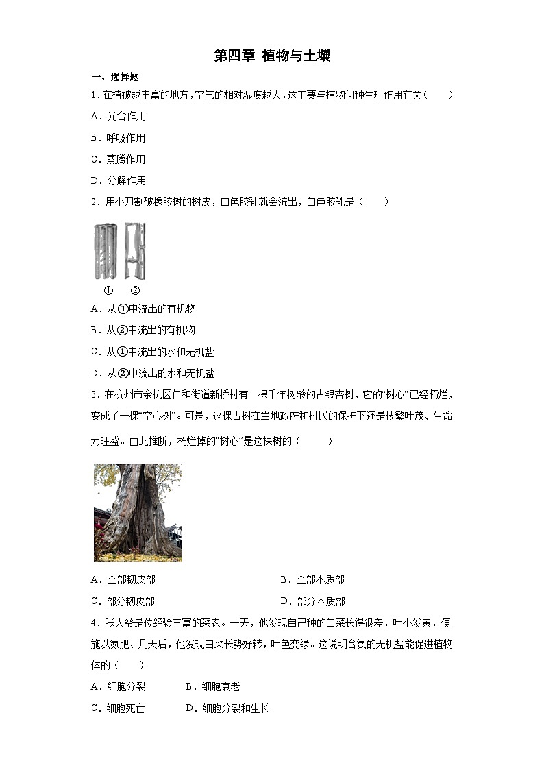 浙教版科学八年级下册：第4章 植物与土壤 单元练习（含答案）第1页