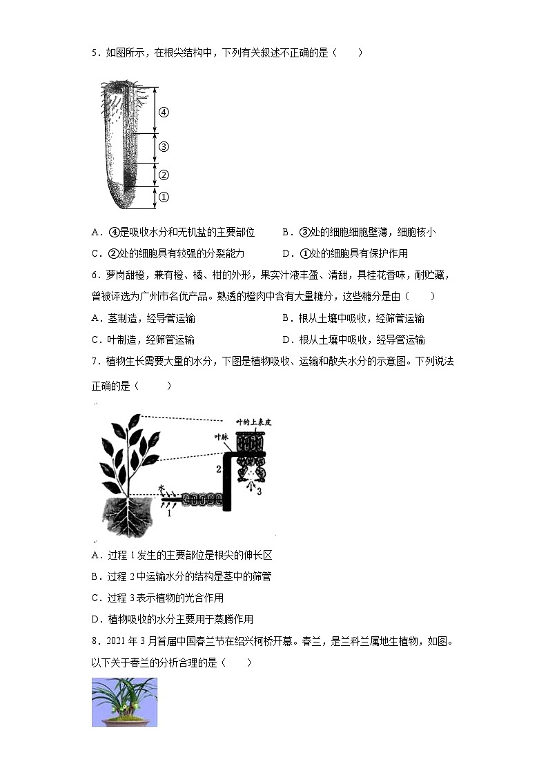 浙教版科学八年级下册：第4章 植物与土壤 单元练习（含答案）第2页