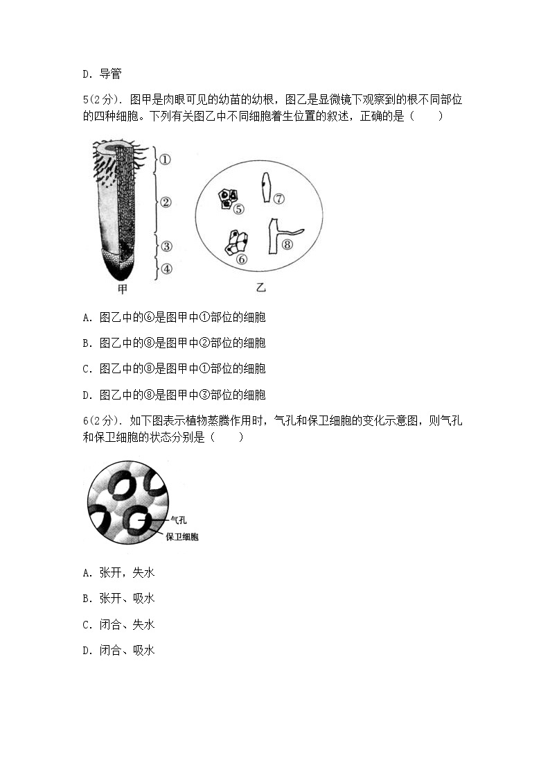 浙教版科学八年级下册：第4章 植物与土壤 检测卷（含答案）02