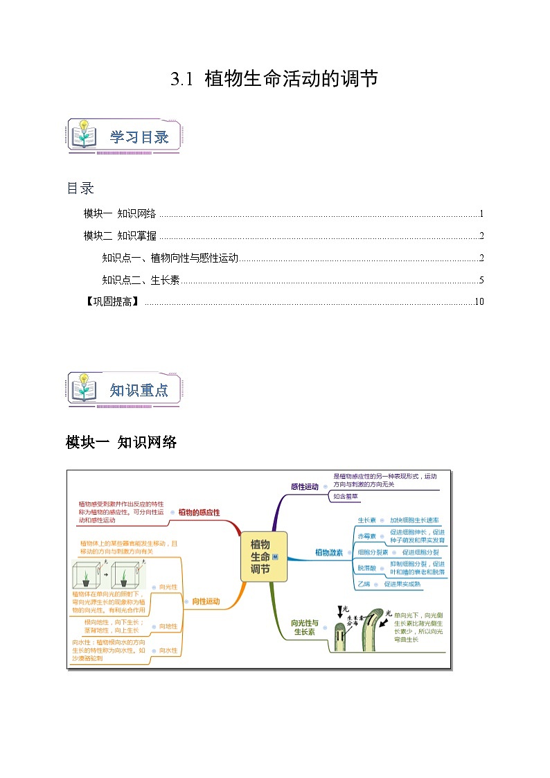 3.1+植物生命活动的调节 八年级科学上册讲练测（浙教版）01
