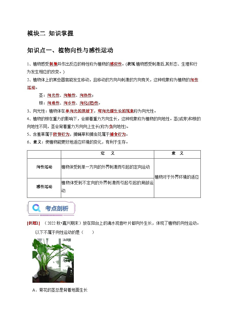 3.1+植物生命活动的调节 八年级科学上册讲练测（浙教版）02