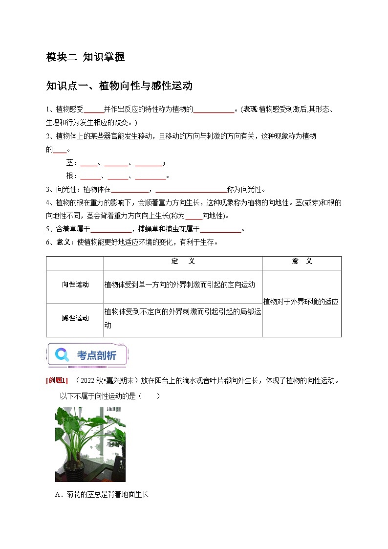 3.1+植物生命活动的调节 八年级科学上册讲练测（浙教版）02