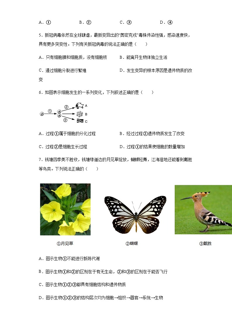 【单元检测】浙教版科学七年级上册：第2章：观察生物  单元训练卷（含答案）02