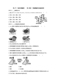 初中科学浙教版九年级上册第1章 物质及其变化第2节 物质的酸碱性优秀第2课时习题