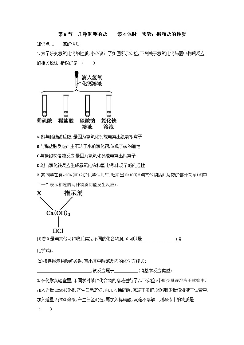 【同步练习】浙教版科学九年级上册：1.6 几种重要的盐  第4课时  同步练习（含答案）01