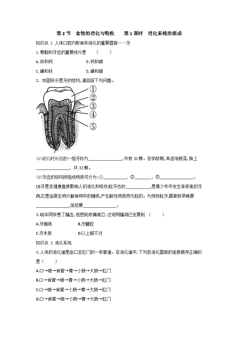 【同步练习】浙教版科学九年级上册：4.2 食物的消化与吸收 第1课时  同步练习（含答案）01