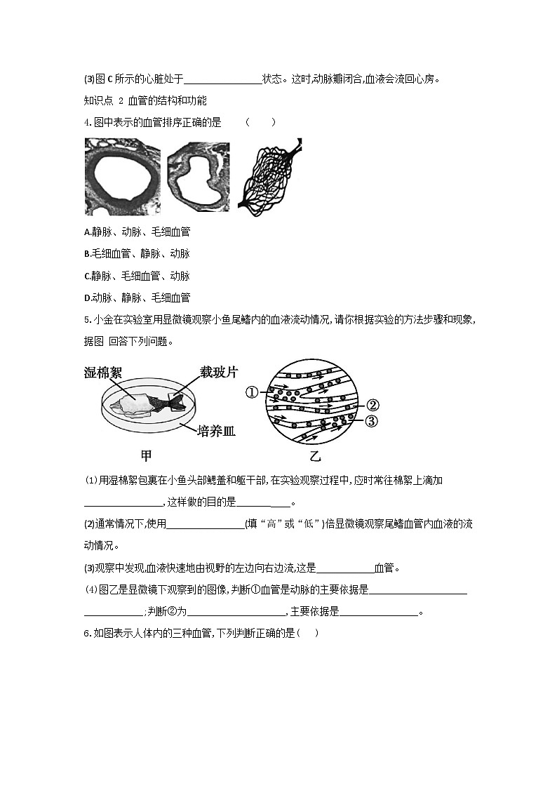【同步练习】浙教版科学九年级上册：4.3 体内物质的运输 第2课时  同步练习（含答案）02