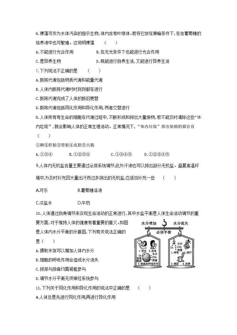 【同步练习】浙教版科学九年级上册：4.5 体内物质的动态平衡 第2课时  同步练习（含答案）02
