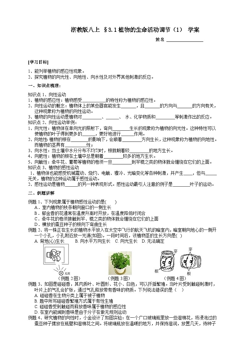 【同步学案】浙教版科学八年级上册-3.1植物的生命活动调节（1） 学案（含答案）01