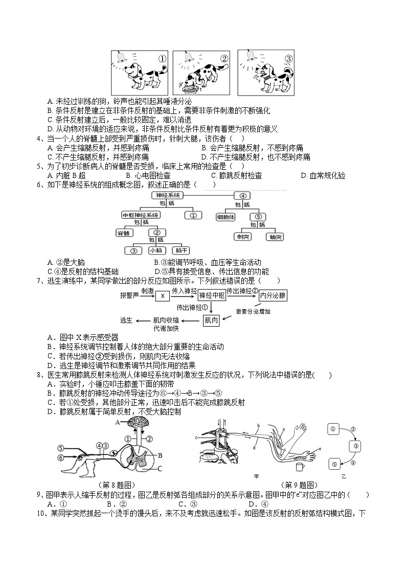 【同步学案】浙教版科学八年级上册-3.3神经调节（2）学案（含答案）03