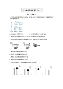 【一课一练】浙教版科学八年级上册：3.1植物的生命调节 （2） 同步练习（含解析）